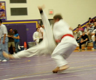 Freestyle Judo